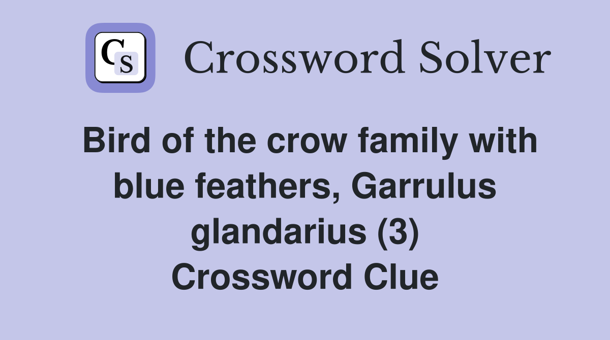 Bird of the crow family with blue feathers Garrulus glandarius (3